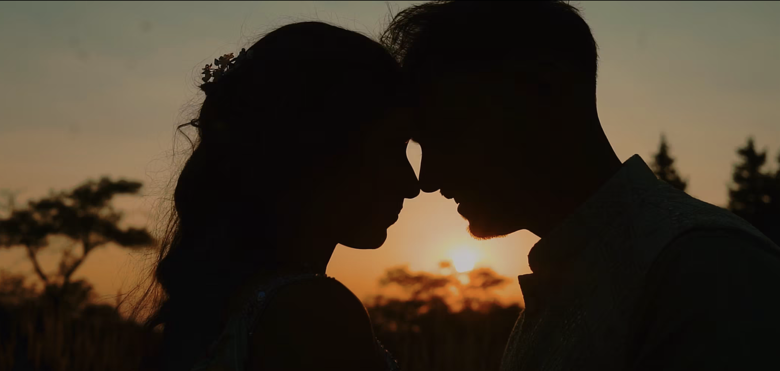 Chicago Hindu Indian wedding of Tarang and Neha